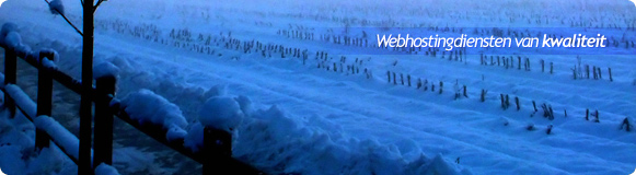 Everhost: Webhosting van kwaliteit